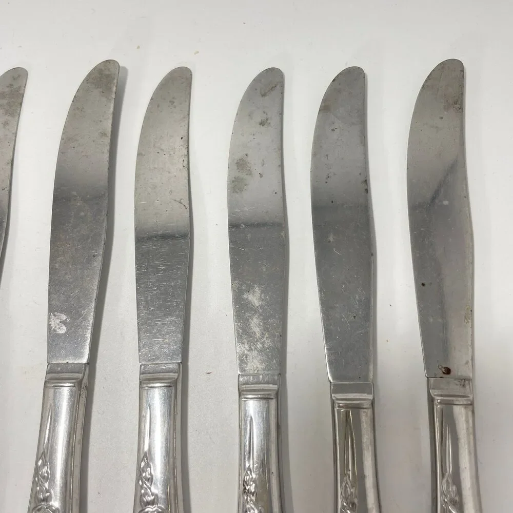 Lot of 9 Oneida Wm A Rogers Premier La Rose Stainless Dinner Knives 8.5”